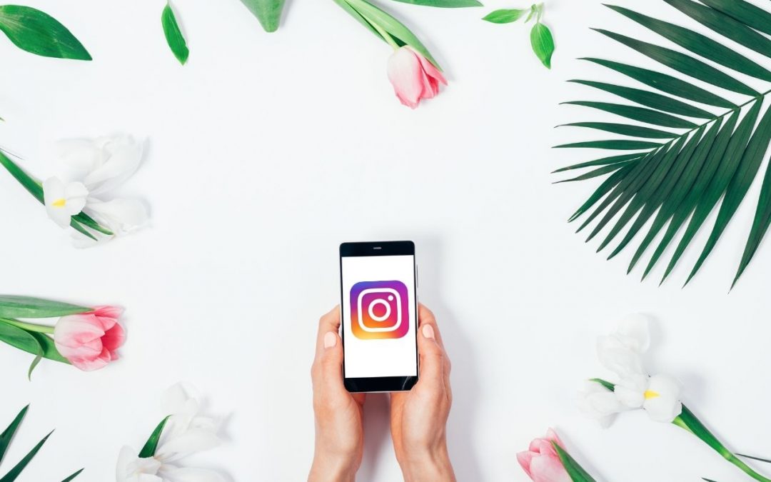 Your Guide to Building Your Brand on Instagram